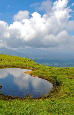 Winds of Wayanad