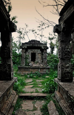 Winds of Wayanad