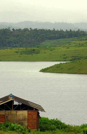 Winds of Wayanad