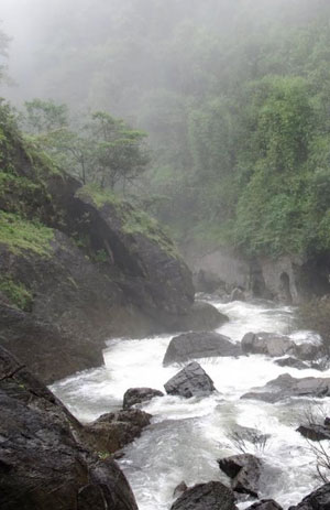 Winds of Wayanad