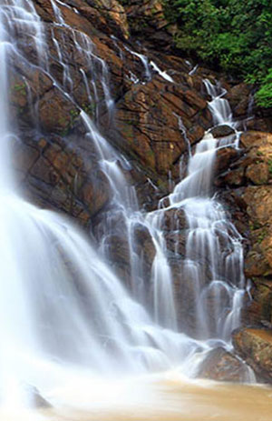 Winds of Wayanad