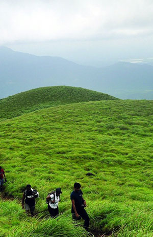 Winds of Wayanad