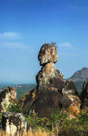 Winds of Wayanad