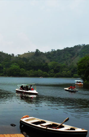Winds of Wayanad
