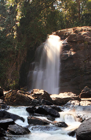 Winds of Wayanad