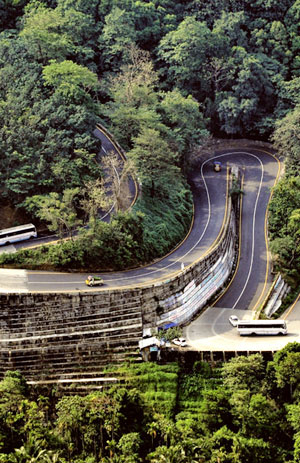 AWinds of Wayanad